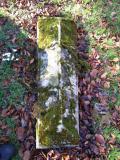 image of grave number 290031